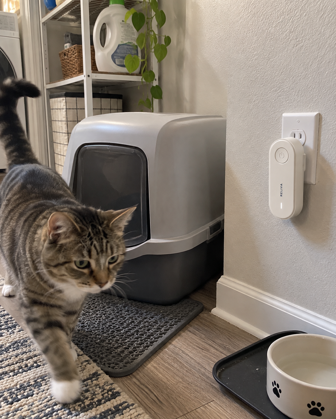 PurrAir in a laundry room litter area