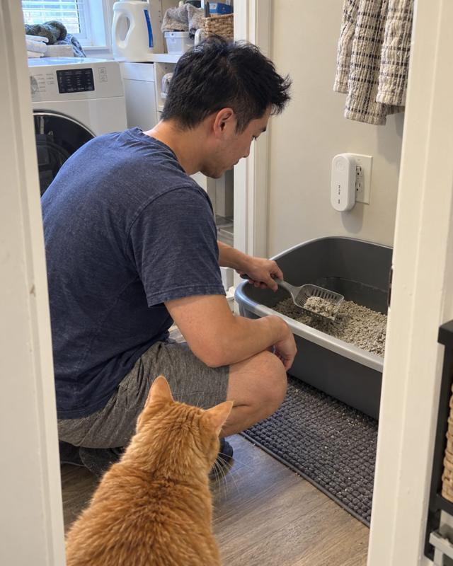 Man scooping a litter box in a laundry room with RELIVA on the wall
