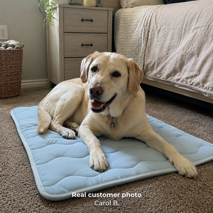 Protect Your Dog From Heat Stress And Restless Nights With The Reliva™ Cooling Comfort Mat