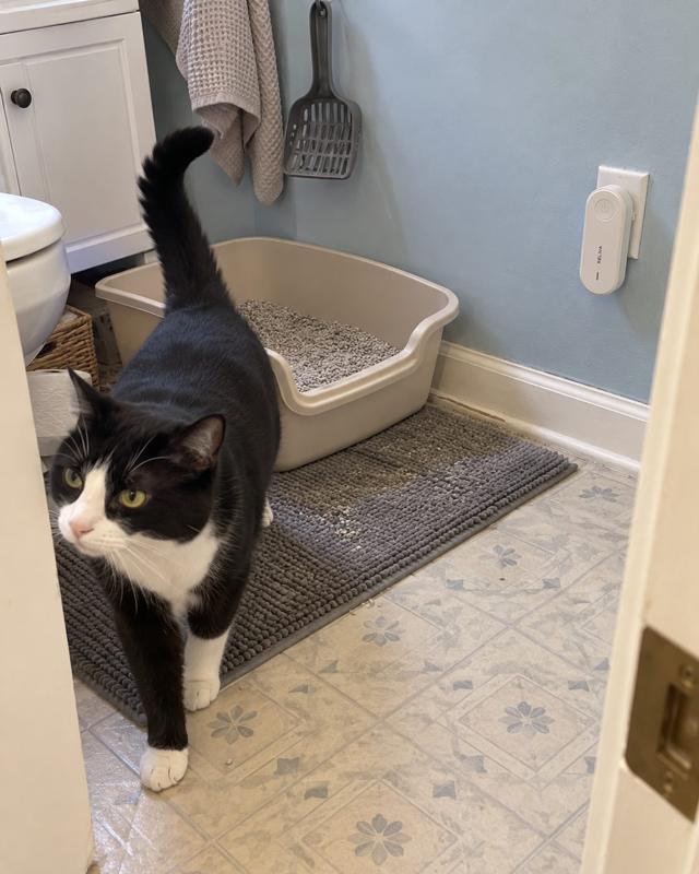 Litter box in a bathroom with RELIVA plugged in beside it